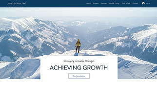 Business website templates - Business Consulting Company 